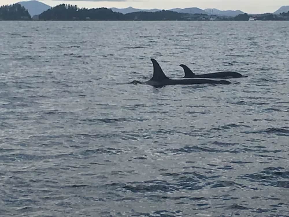 施設からの眺望