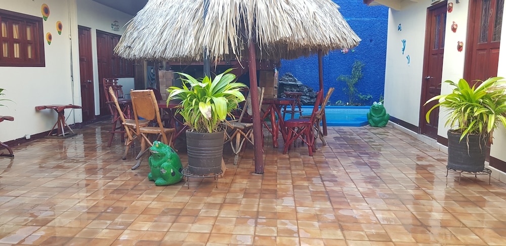 子供用の遊び場 - 屋内