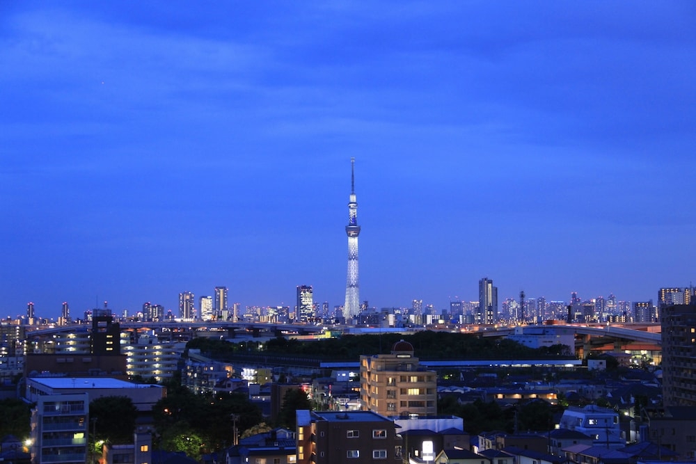 施設からの眺望