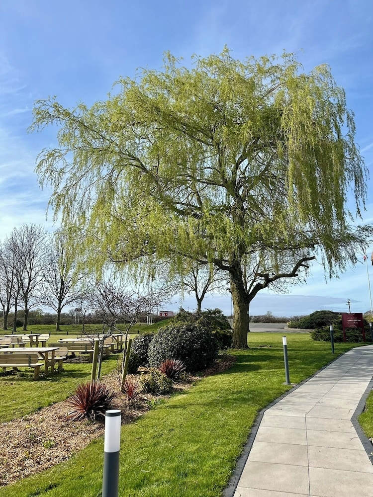 ガーデン ビュー