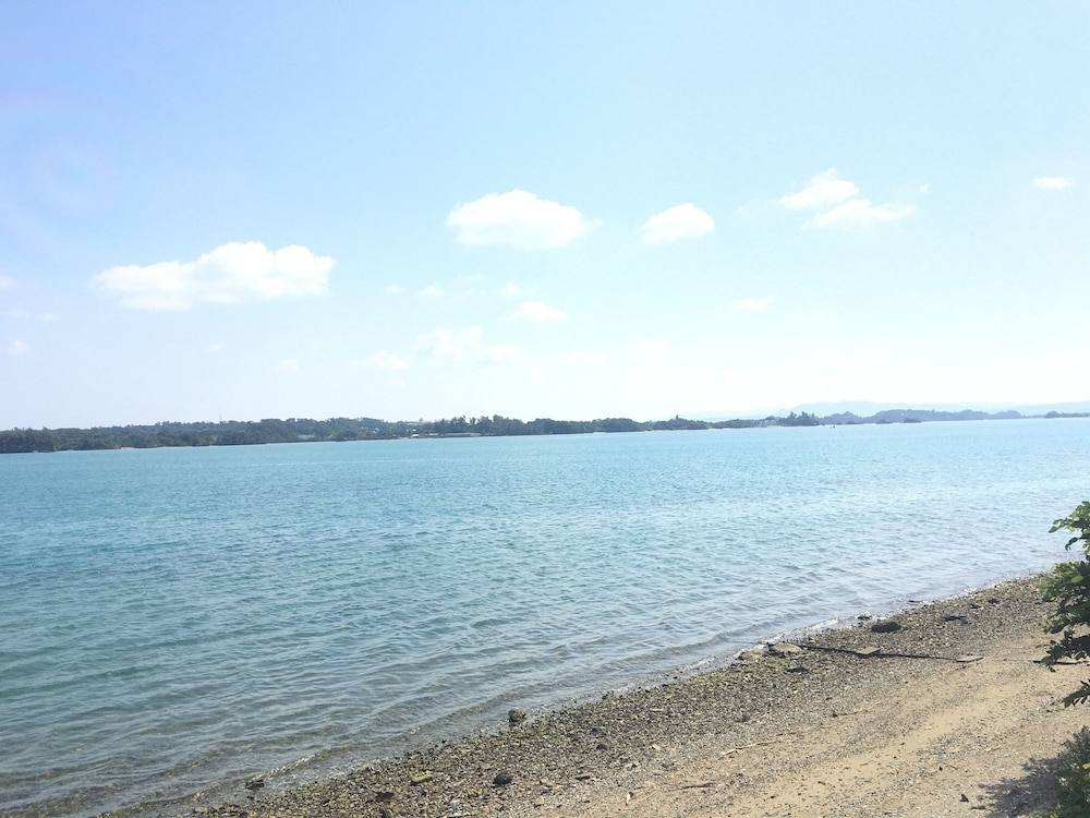 ビーチ / オーシャン ビュー