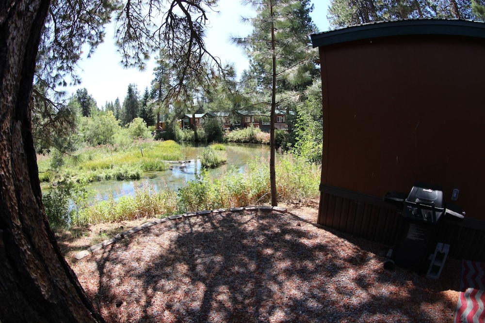 テラス / パティオ