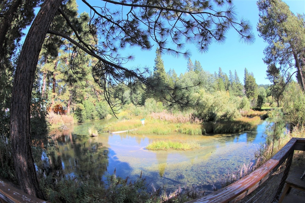 ウォーター ビュー