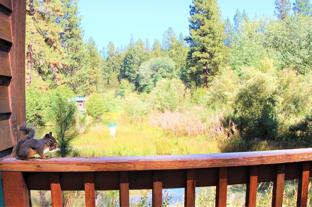 ウォーター ビュー