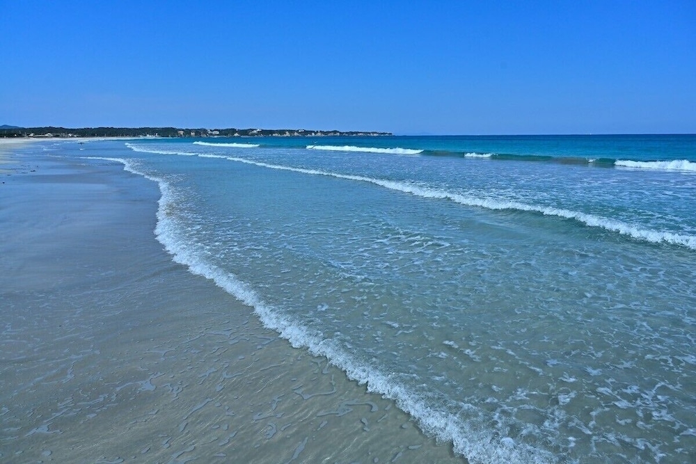 ビーチ / オーシャン ビュー