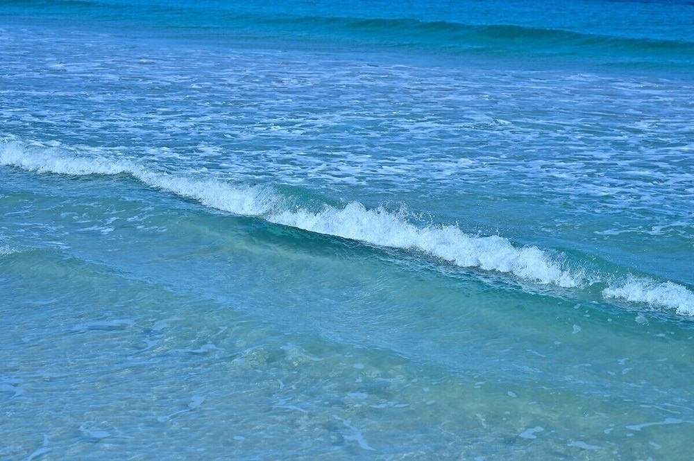 ビーチ / オーシャン ビュー