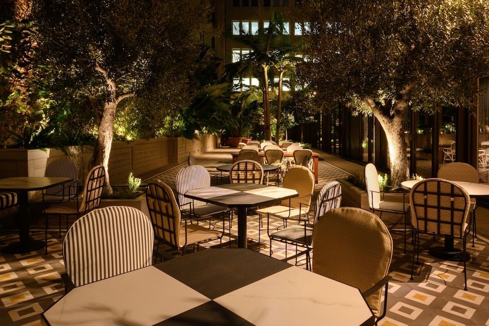 テラス / パティオ