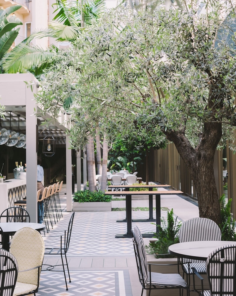 テラス / パティオ