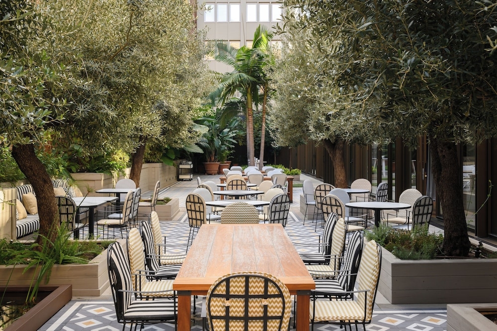 テラス / パティオ