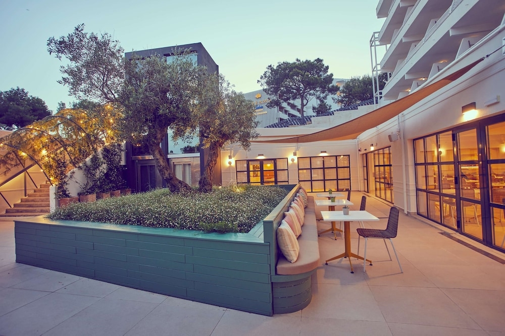 テラス / パティオ