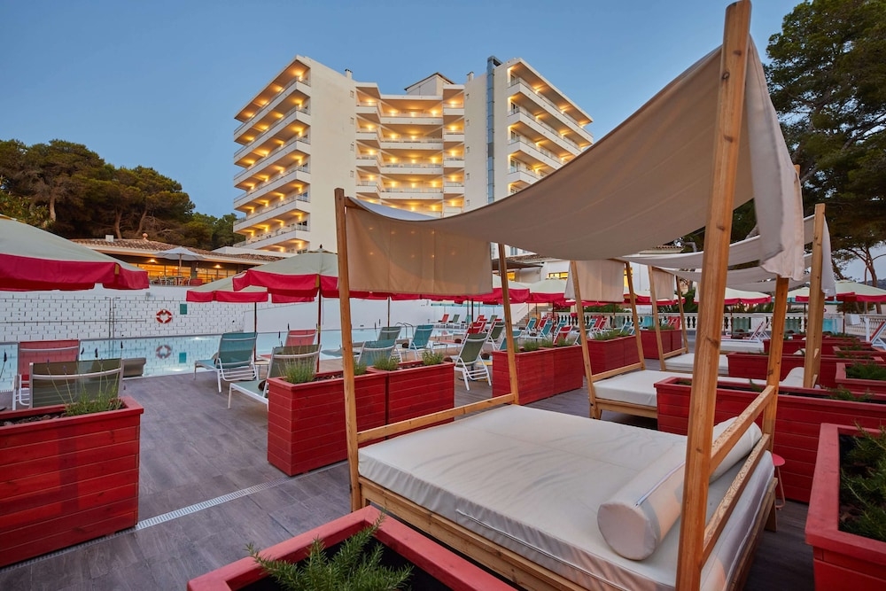 テラス / パティオ