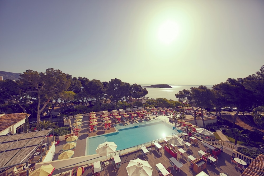 メイン イメージ