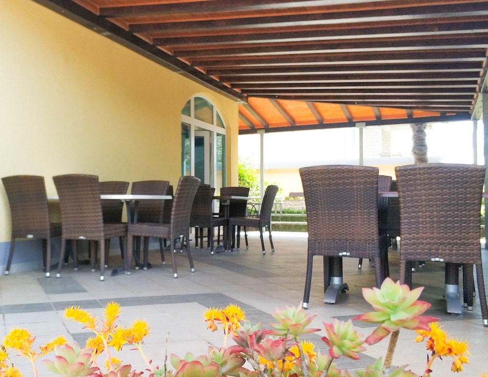 テラス / パティオ