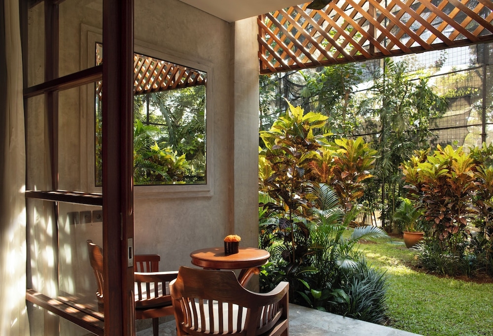 テラス / パティオ