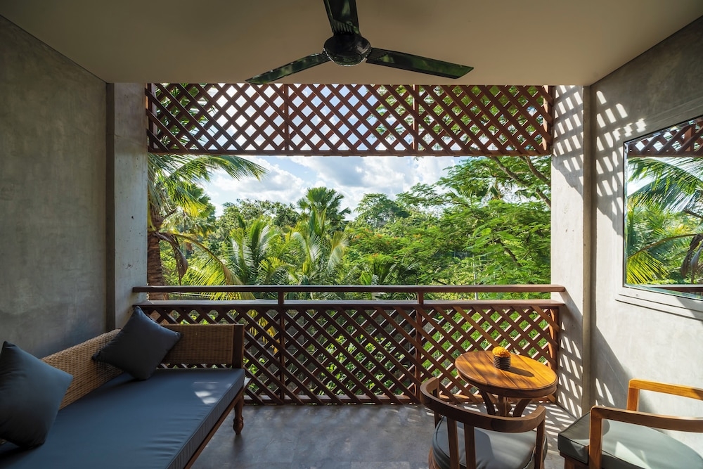 テラス / パティオ