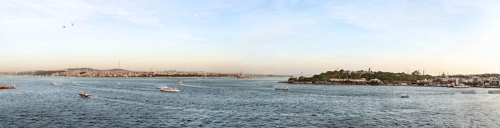 ウォーター ビュー