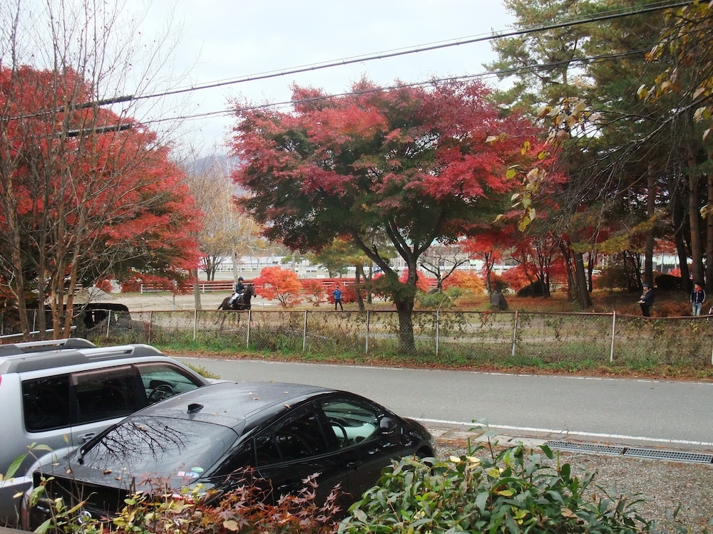 テラス / パティオ