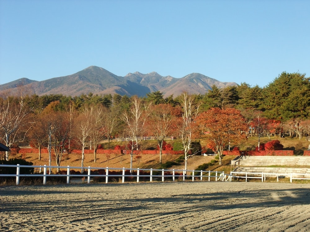 マウンテン ビュー