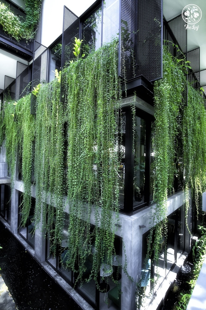 ガーデン ビュー