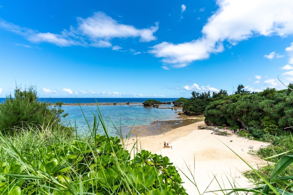 ビーチ / オーシャン ビュー