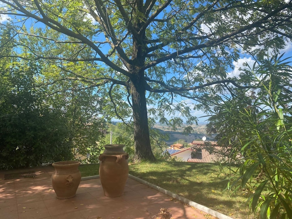 施設からの眺望