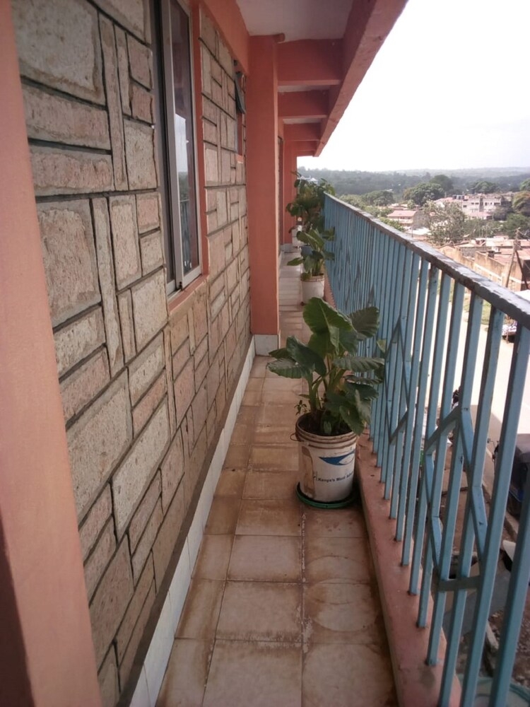 テラス / パティオ