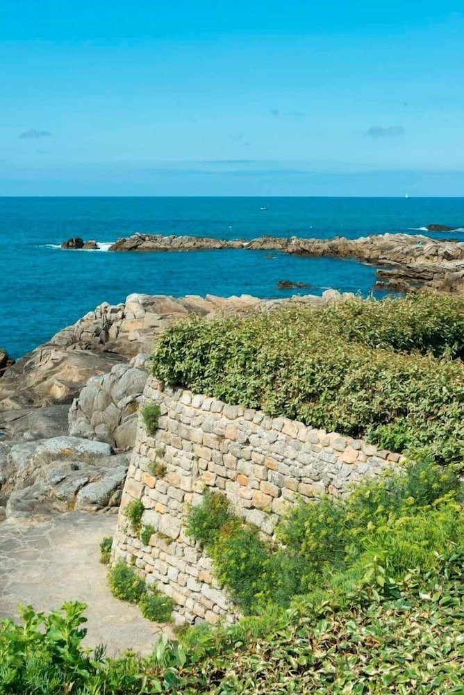 ビーチ / オーシャン ビュー