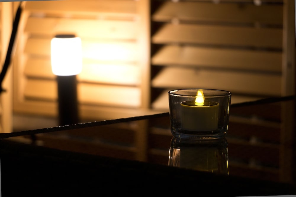 テラス / パティオ