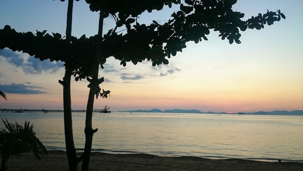 施設からの眺望