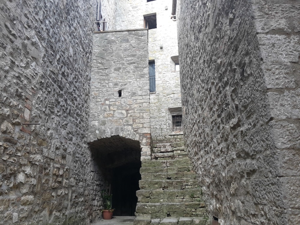 リゾート ビュー