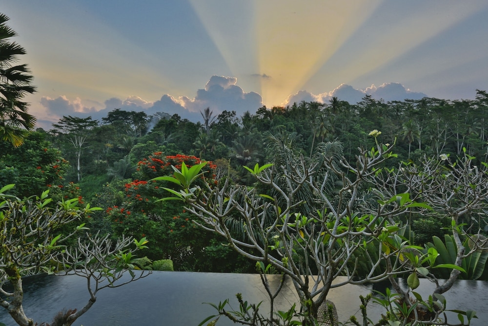 施設からの眺望