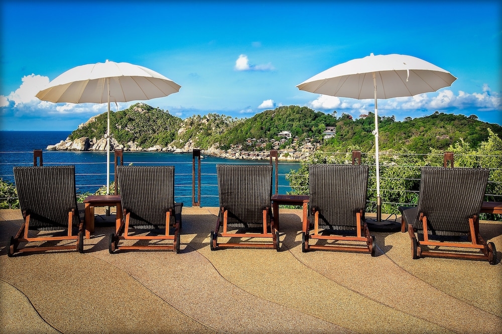 テラス / パティオ