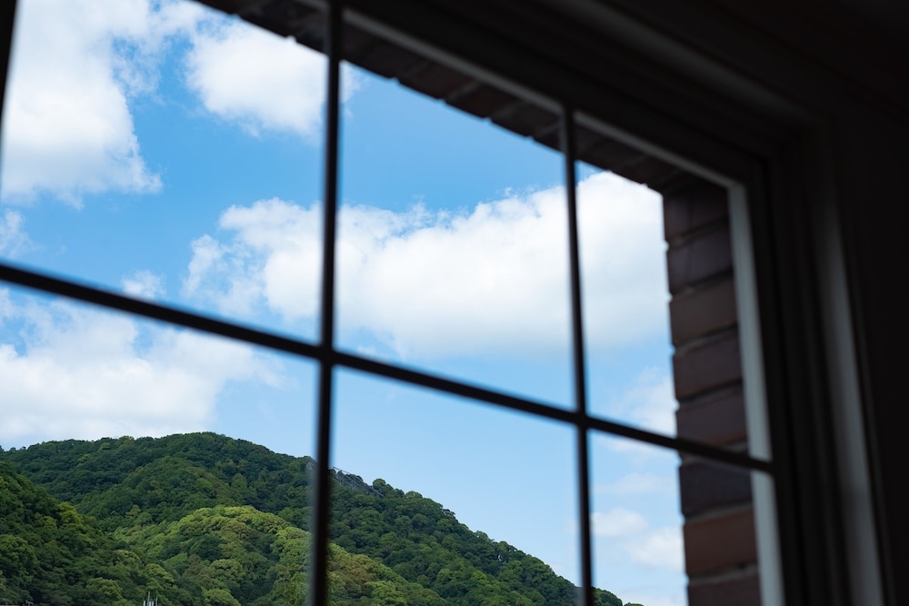 マウンテン ビュー