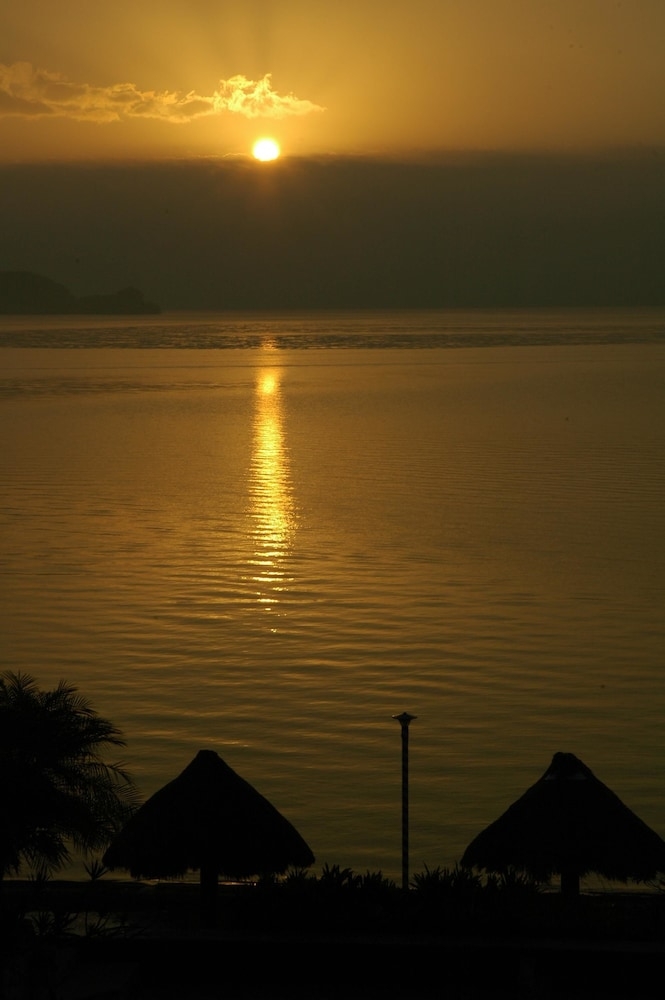 ビーチ / オーシャン ビュー