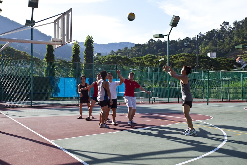 バスケットボール コート