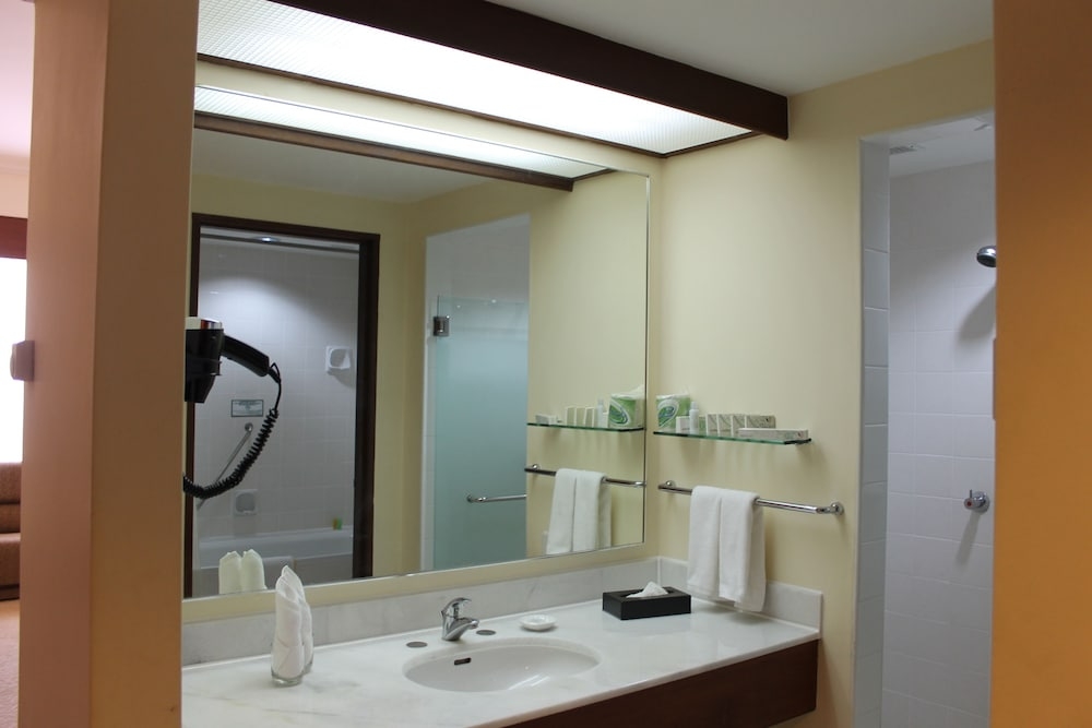 バスルームのシンク