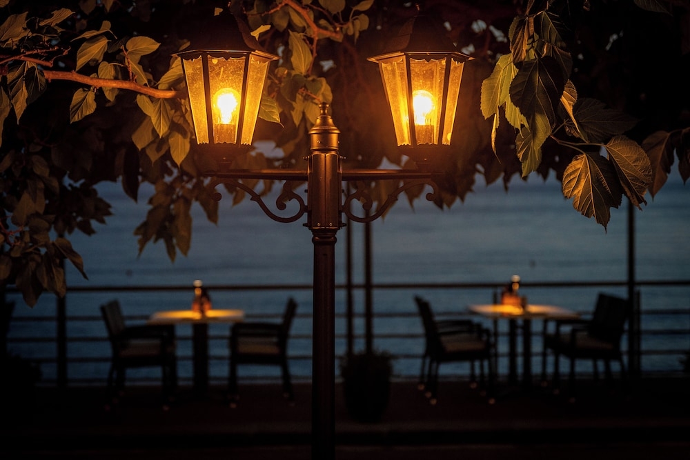 テラス / パティオ