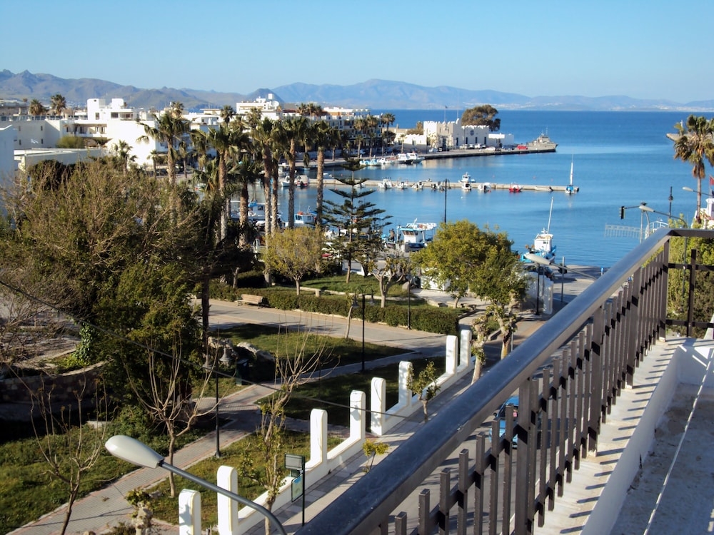 ビーチ / オーシャン ビュー