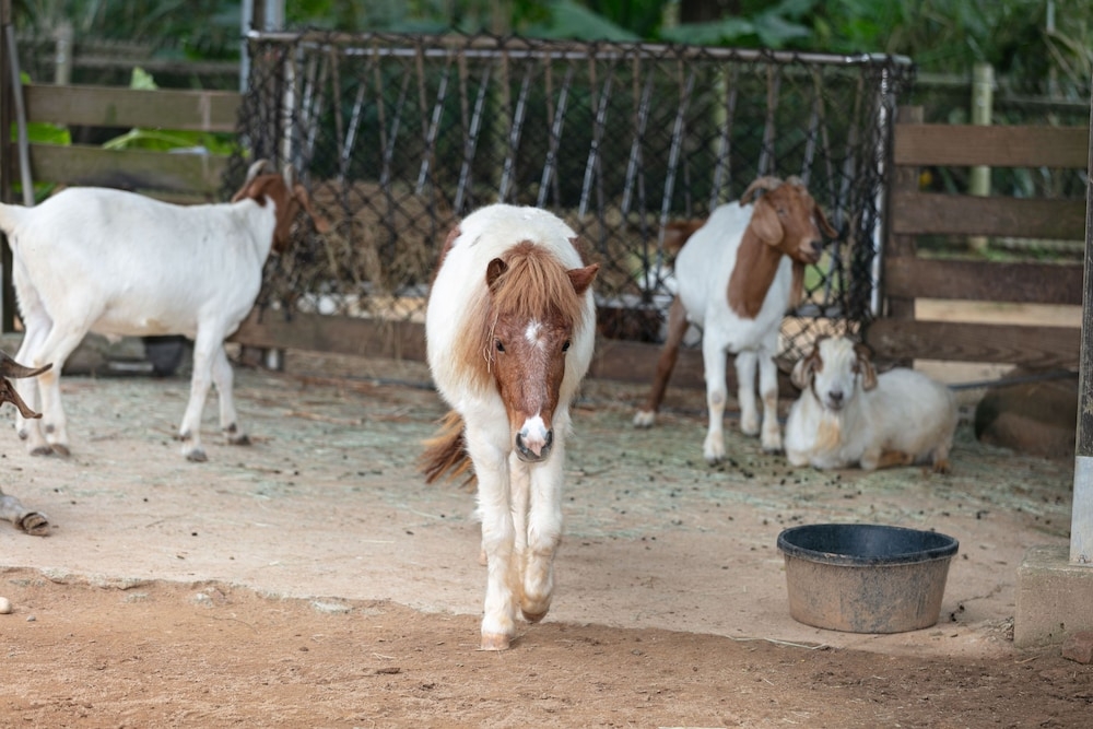 部屋からの景観