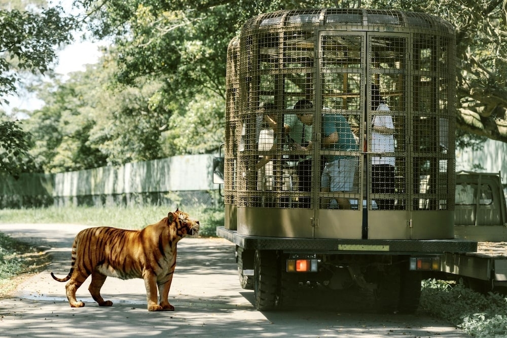 ゲーム ドライブ