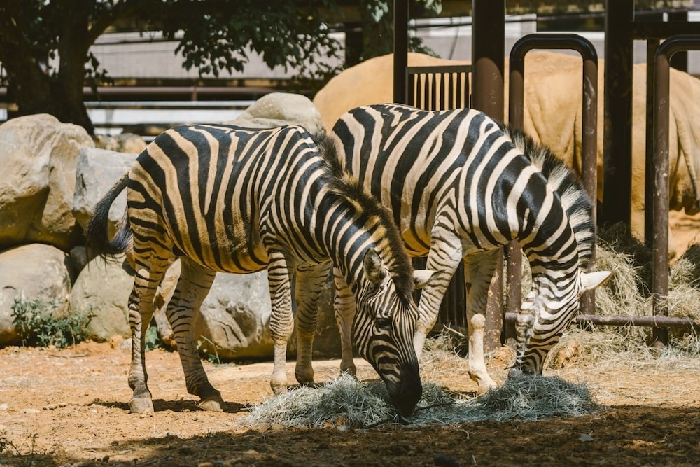 部屋からの景観