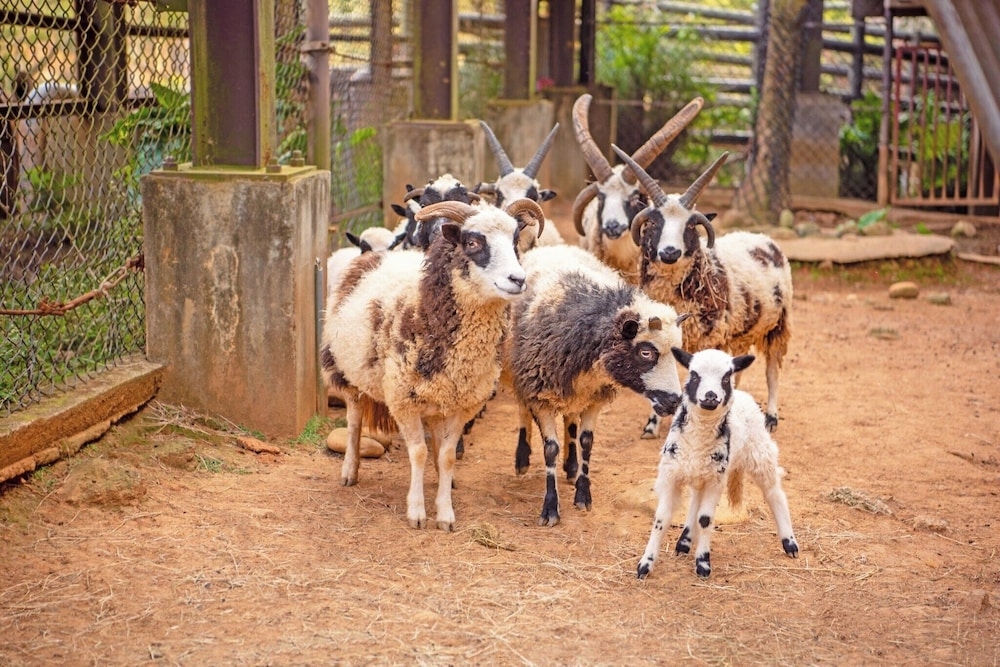 部屋からの景観