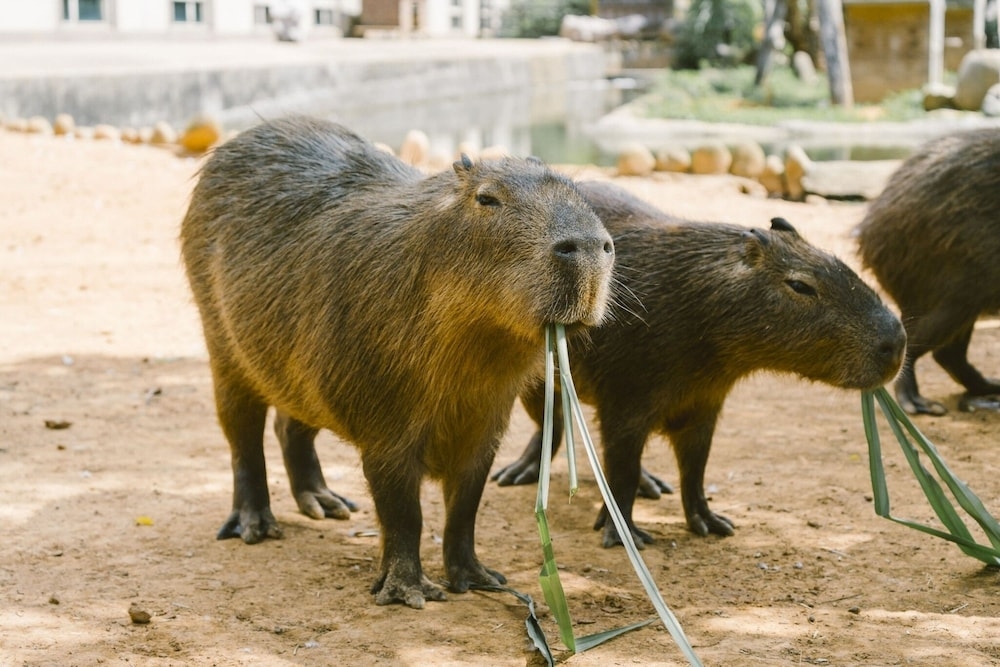 部屋からの景観