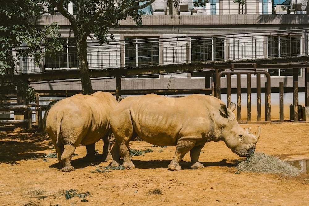 部屋からの景観