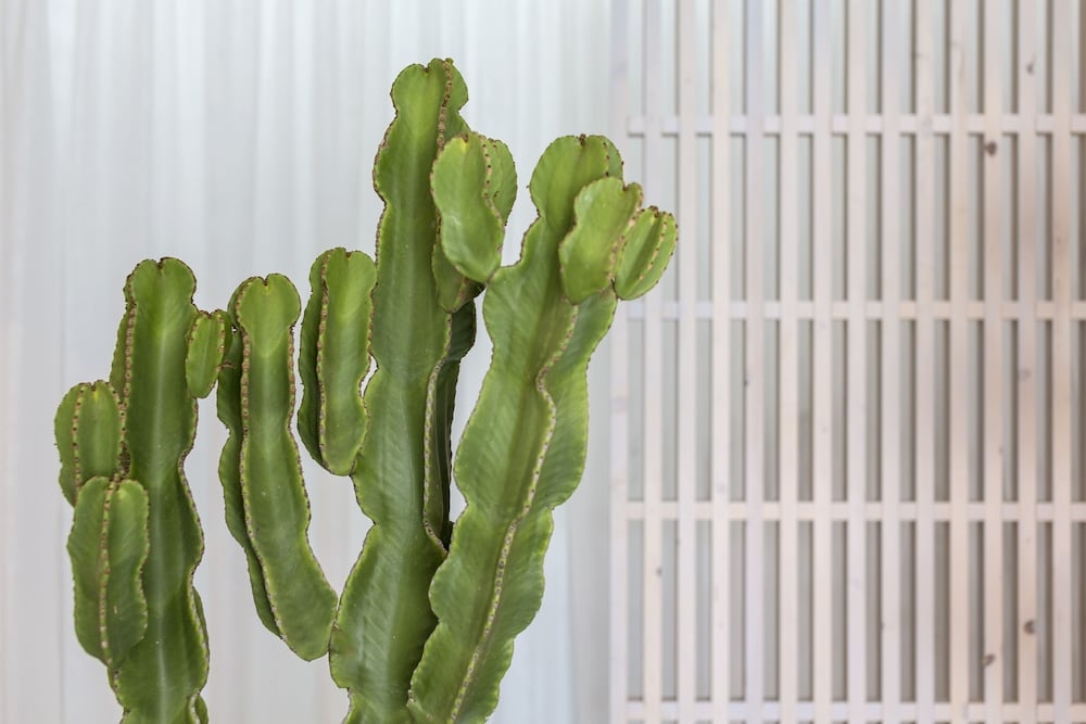 ロビー応接スペース