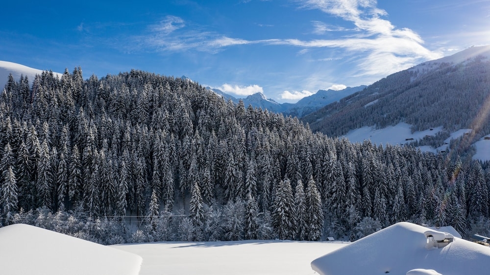 施設からの眺望