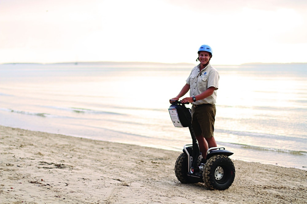 スクーター / モペット