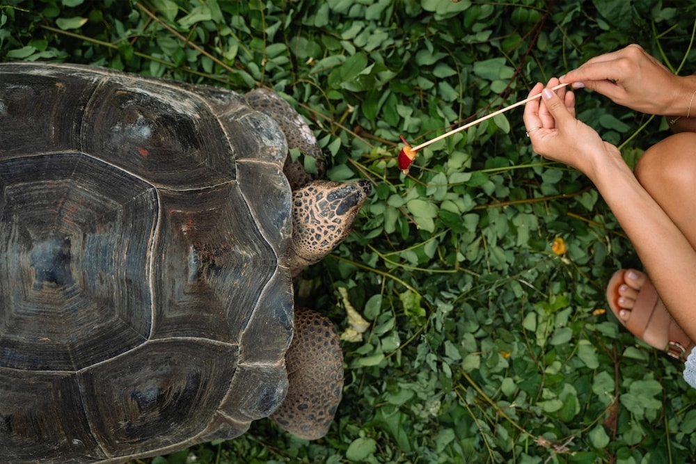施設からの眺望
