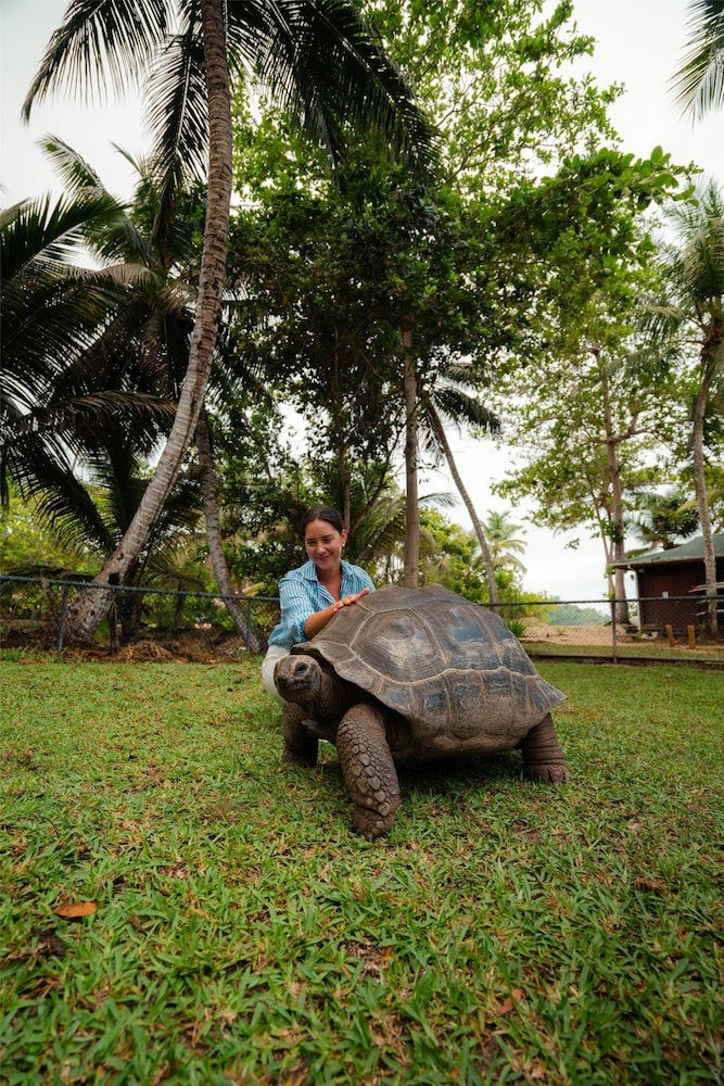 施設からの眺望