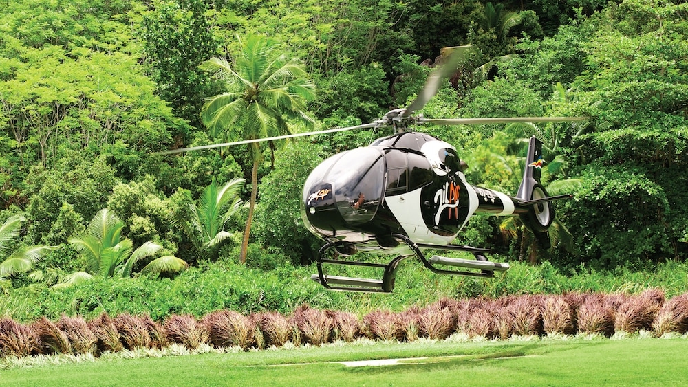 ヘリコプター / 飛行機ツアー